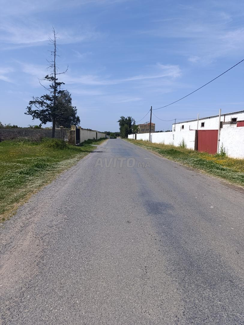 Entrepôt 1000 m² à louer à Sidi Allal Bahraoui — Photo 3
