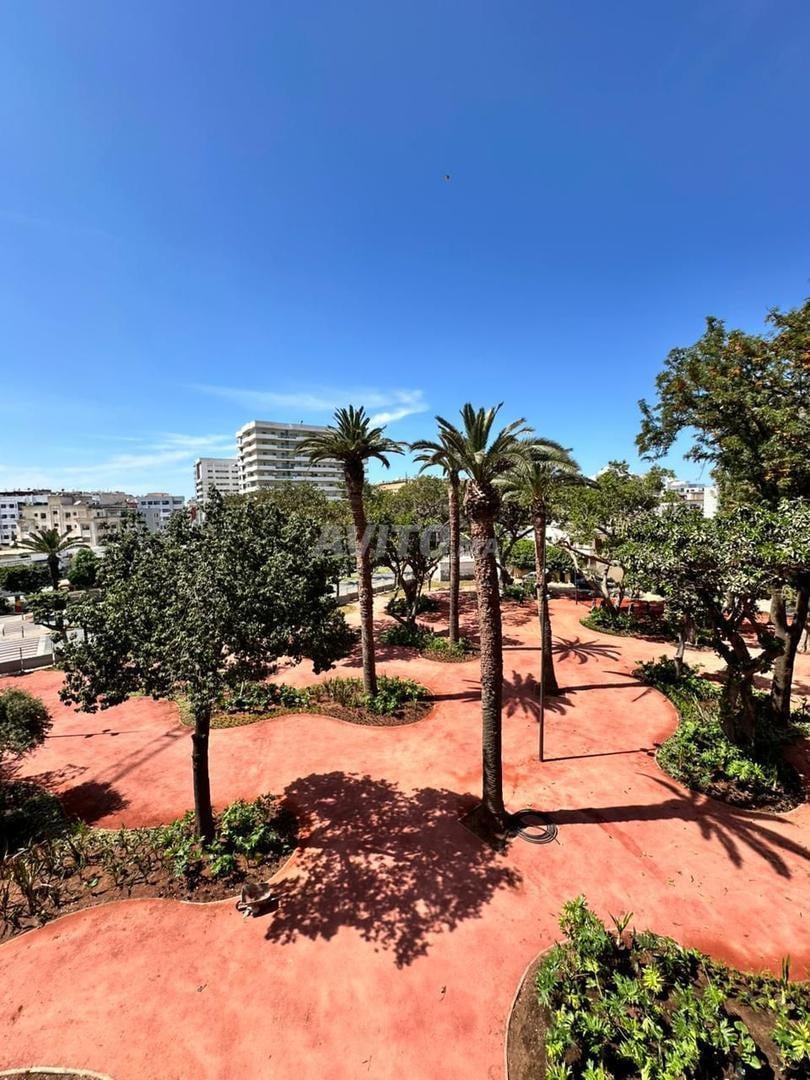 1-Bedroom Apartment 48 m² for Rent in Casablanca - Palmier District — Photo 14