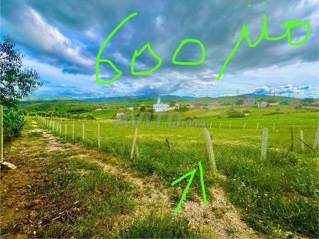 Land for sale 635 m² in Tangier — Photo 5