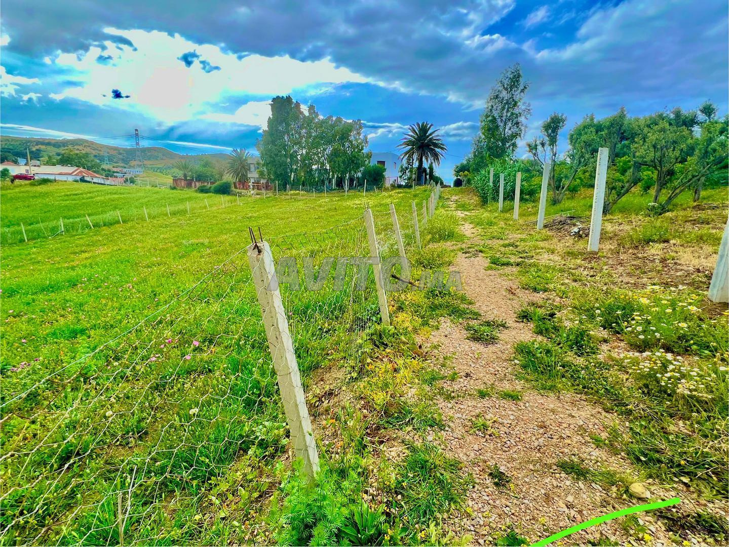 Land for sale 635 m² in Tangier — Photo 8