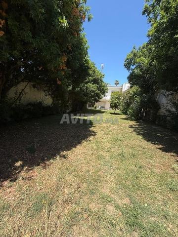 Maison 220 m² à louer à Rabat Agdal — Photo 3
