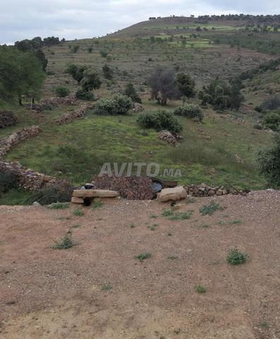 أرض 20750 م² للبيع في أزيلال — Photo 5