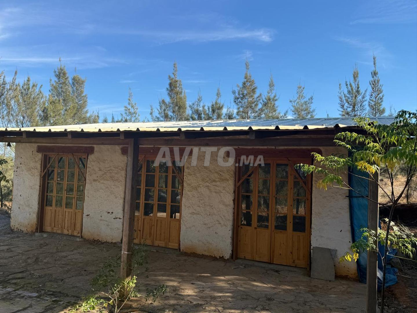 Land 32000 m² for sale in Asilah — Photo 5