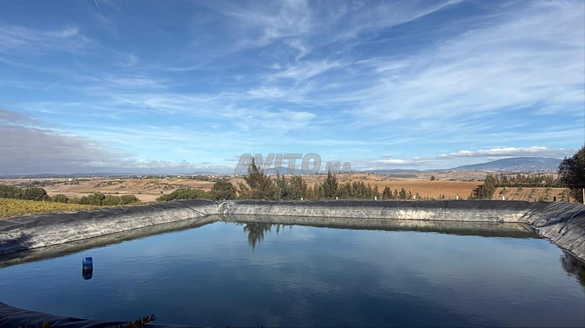 Land 32000 m² for sale in Asilah — Photo 15