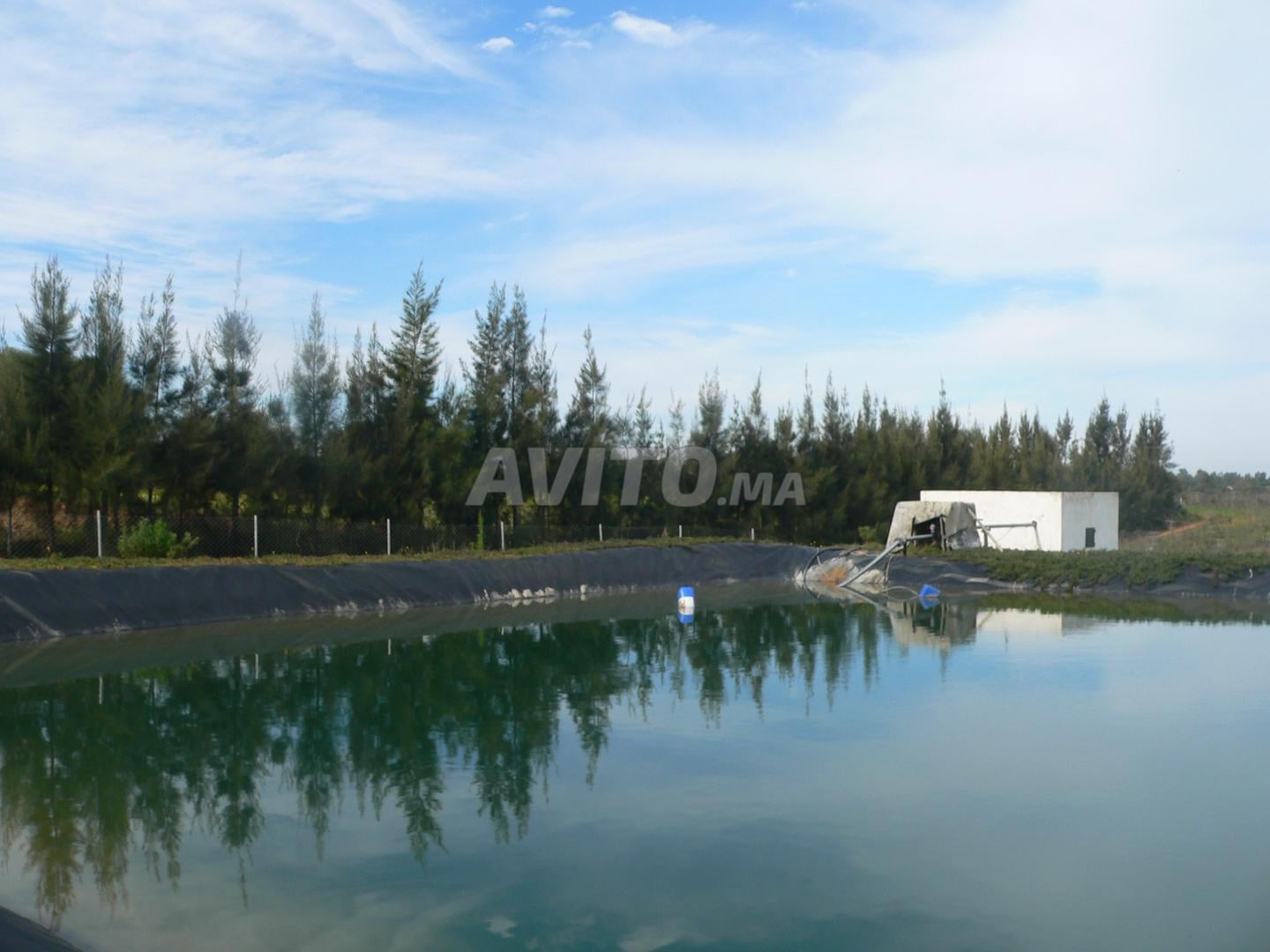 Land 32000 m² for sale in Asilah — Photo 25