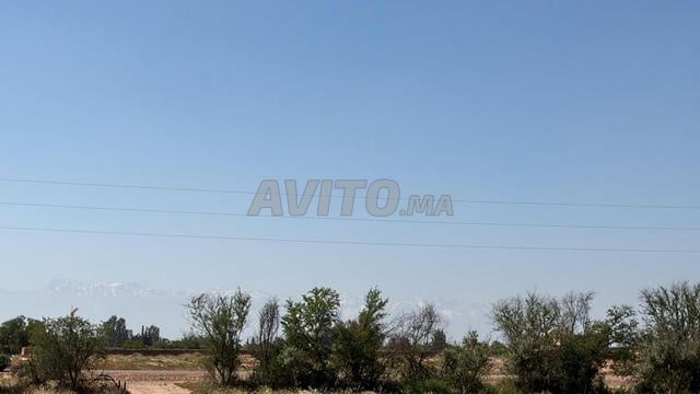 Terrain 2 ha à vendre, titré, rte goudronnée, km 15 de Marrakech — Photo 3
