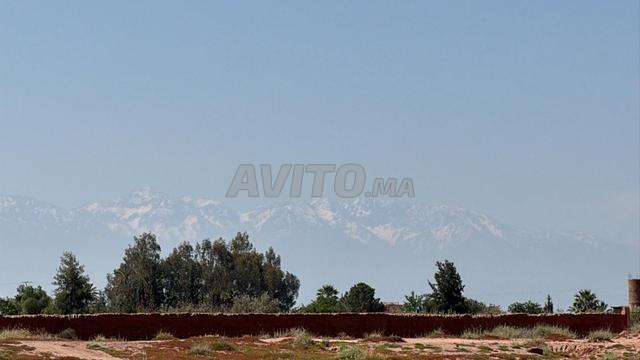 Terrain 2 ha à vendre, titré, rte goudronnée, km 15 de Marrakech — Photo 15