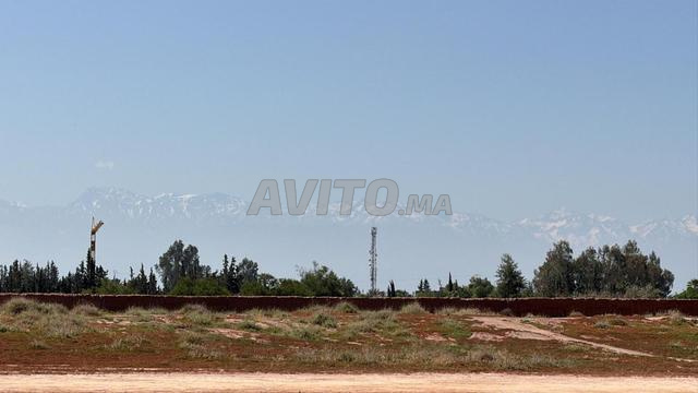 Terrain 2 ha à vendre, titré, rte goudronnée, km 15 de Marrakech — Photo 21