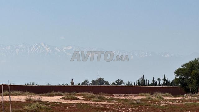 Terrain 2 ha à vendre, titré, rte goudronnée, km 15 de Marrakech — Photo 23