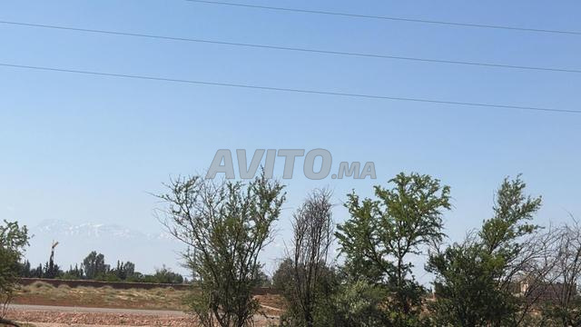 Terrain 2 ha à vendre, titré, rte goudronnée, km 15 de Marrakech — Photo 25