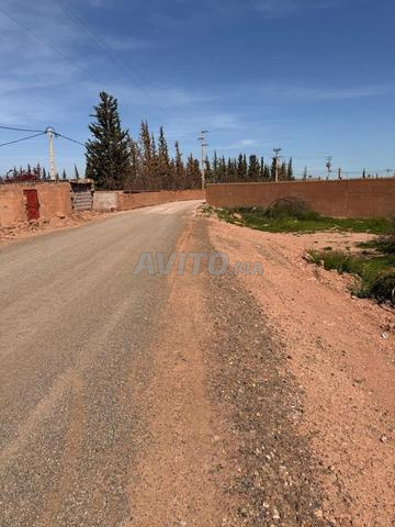 Terrain 2 ha à vendre, titré, rte goudronnée, km 15 de Marrakech — Photo 27