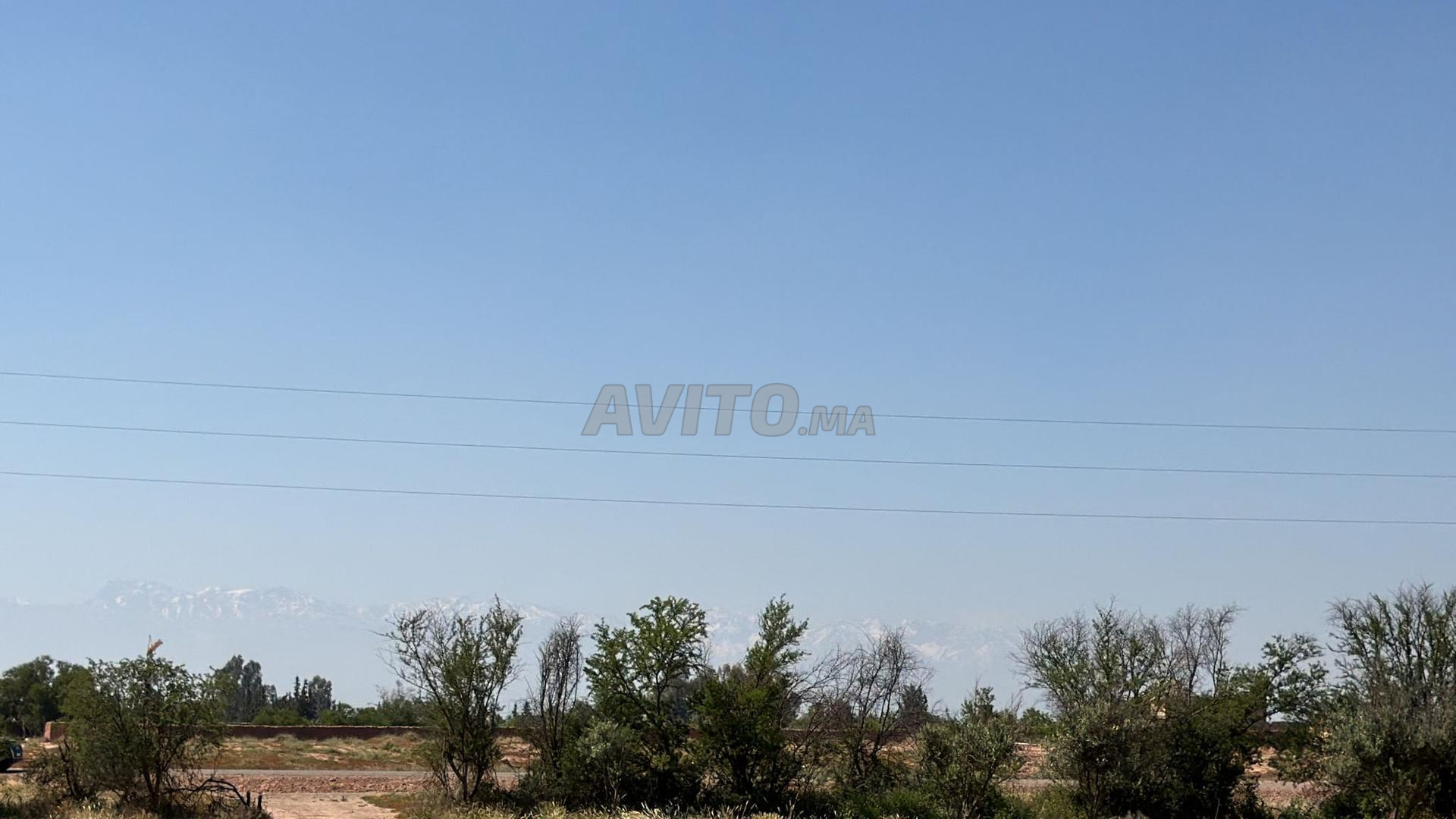 Terrain 2 ha à vendre, titré, rte goudronnée, km 15 de Marrakech — Photo 4