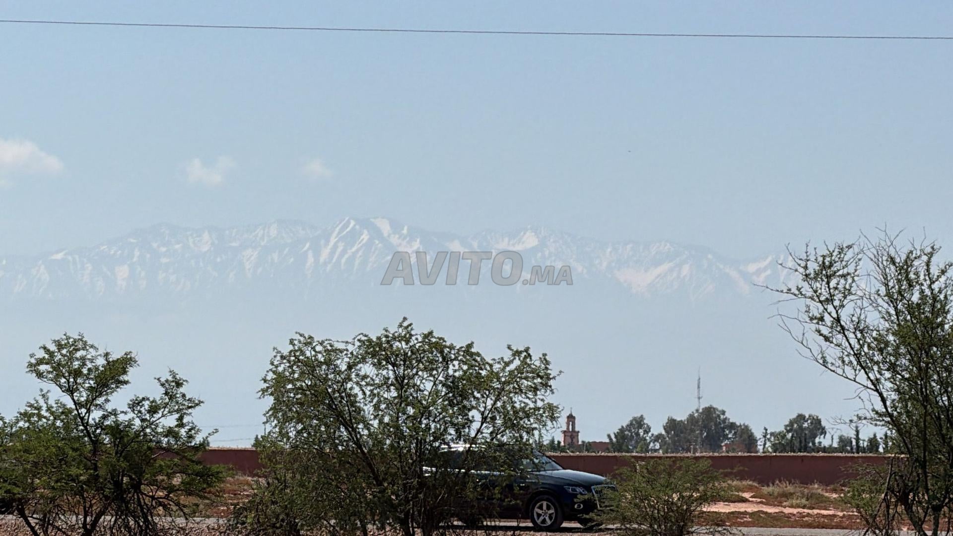 Terrain 2 ha à vendre, titré, rte goudronnée, km 15 de Marrakech — Photo 14