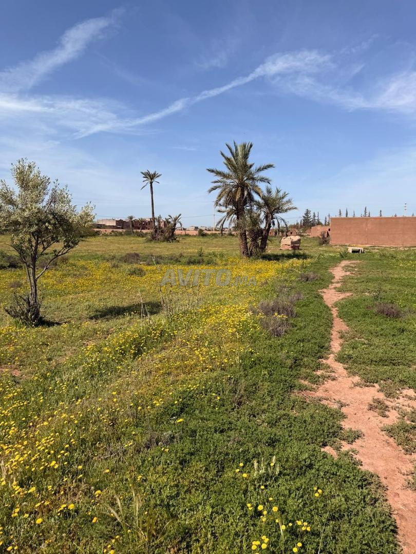Terrain 2 ha à vendre, titré, rte goudronnée, km 15 de Marrakech — Photo 18