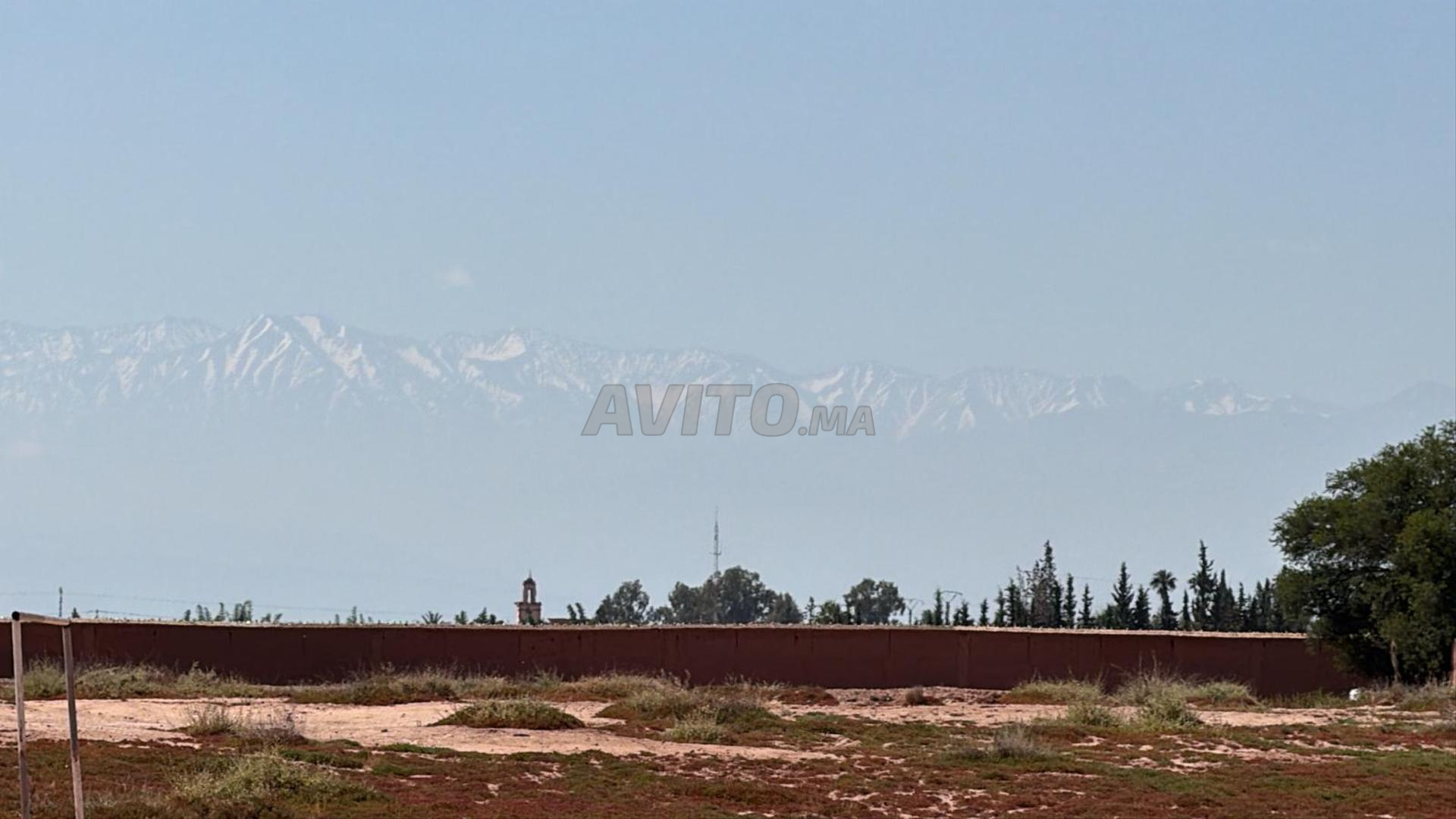 Terrain 2 ha à vendre, titré, rte goudronnée, km 15 de Marrakech — Photo 24