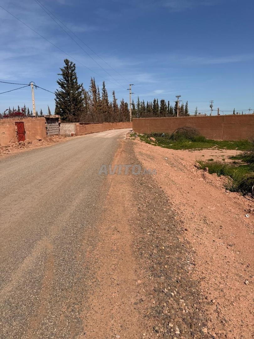 Terrain 2 ha à vendre, titré, rte goudronnée, km 15 de Marrakech — Photo 28
