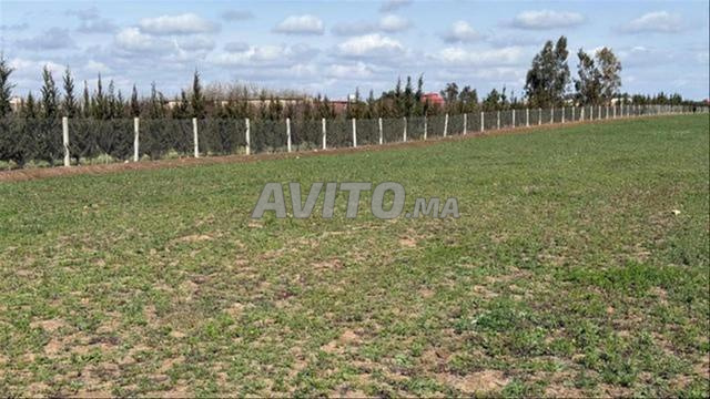 Terrain 5 000 m² à vendre à Bir Jdid — Photo 2