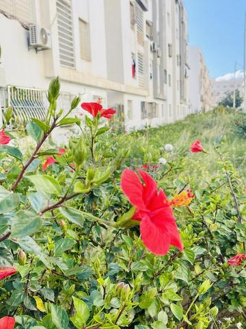 Appartement 55 m² à vendre à Agadir — Photo 5