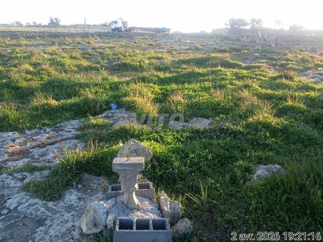 Land 290 m² for sale in El Jadida — Photo 2