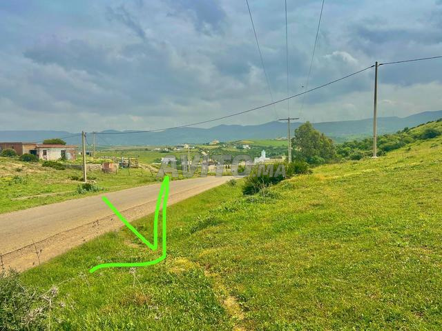 Land 3865 m² for sale in Tangier — Photo 3