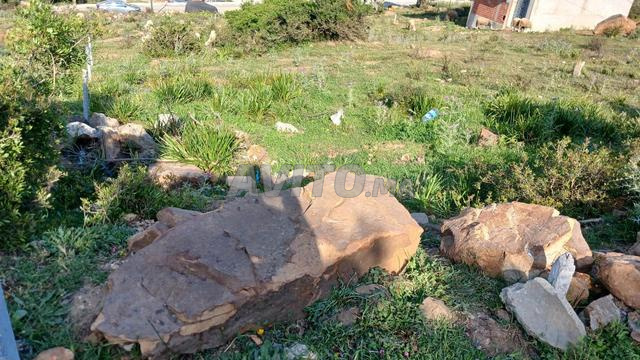أرض 82 م² للبيع في طنجة (سيدي حسيان) — Photo 3