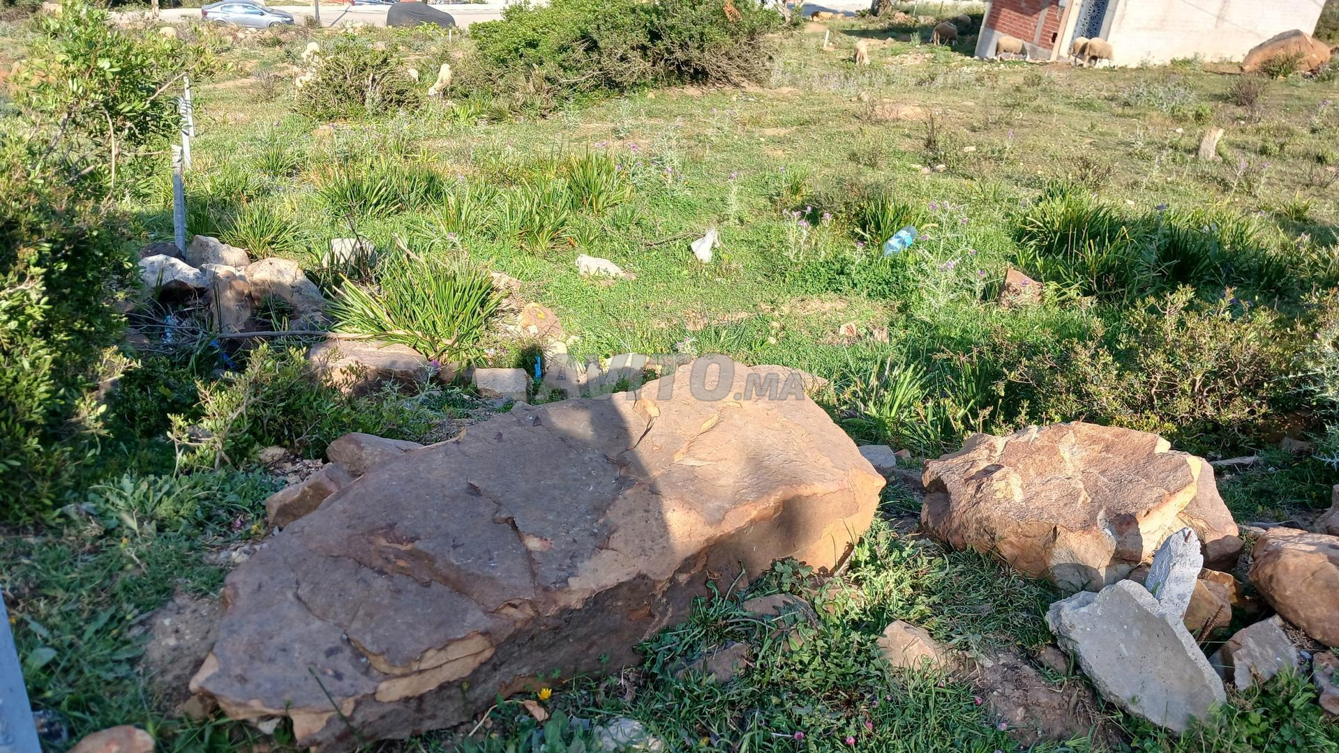 أرض 82 م² للبيع في طنجة (سيدي حسيان) — Photo 4