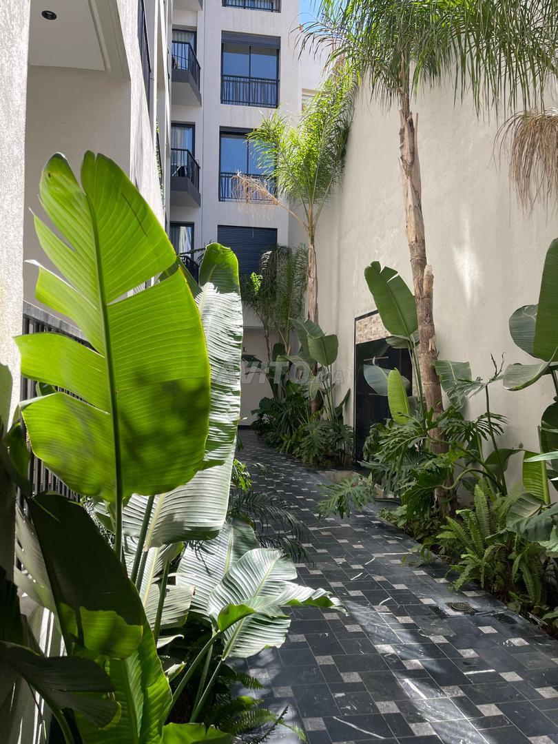 Luxury Studio for Rent in Casablanca (Beauséjour) — Photo 3