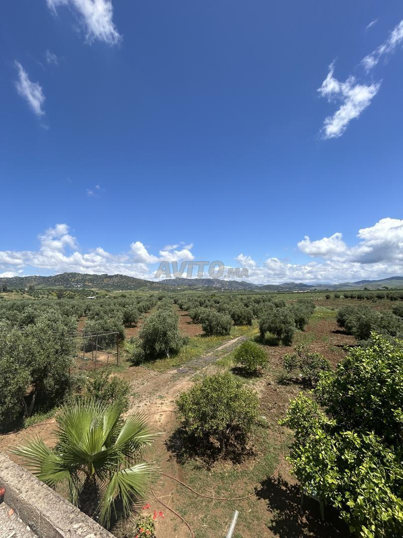 Terrain agricole 14 hectares à vendre à Galaz — Photo 11