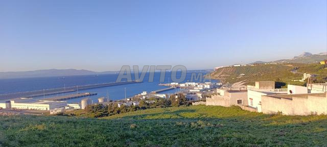 6000 m² Land for Sale in Ksar Sghir Zahra — Photo 6