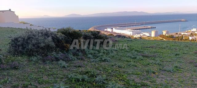 6000 m² Land for Sale in Ksar Sghir Zahra — Photo 10