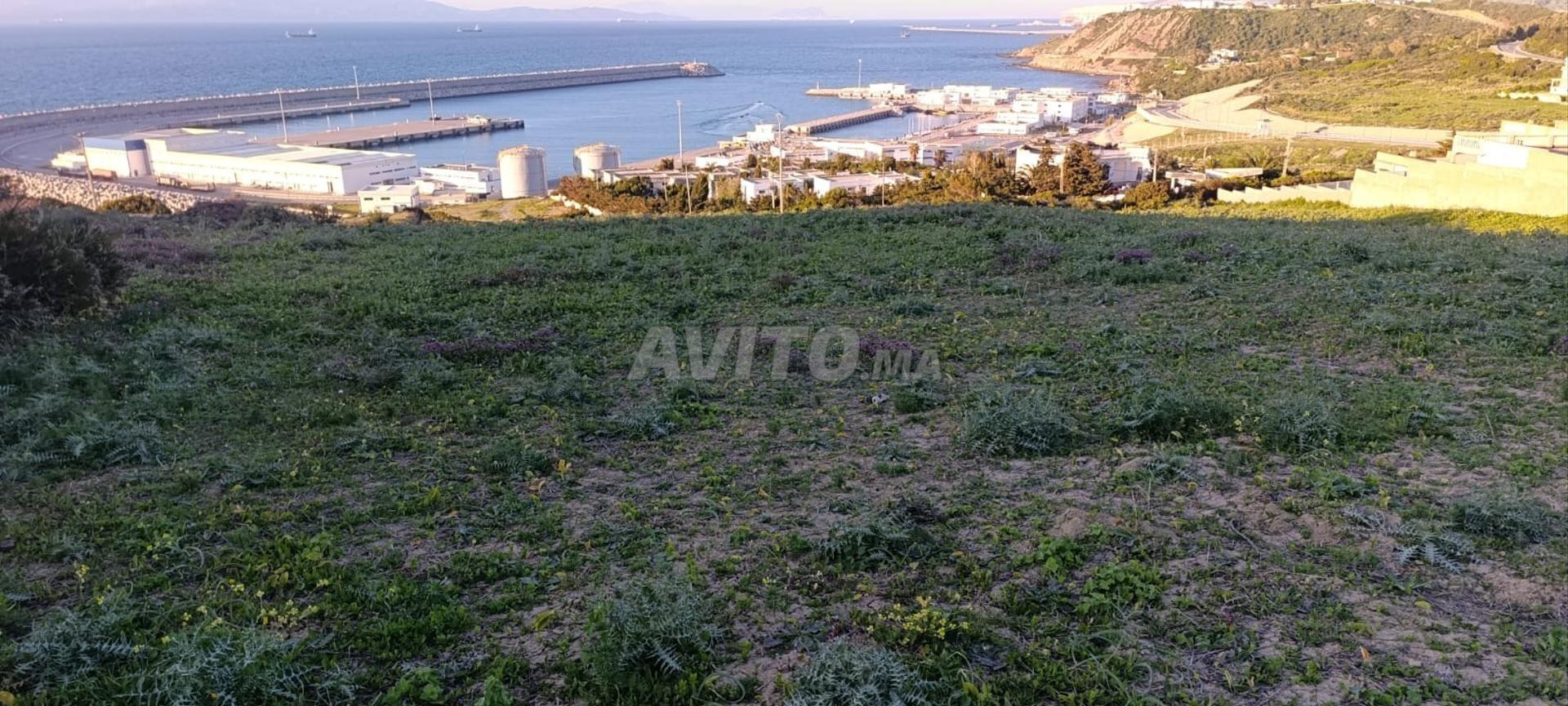 6000 m² Land for Sale in Ksar Sghir Zahra — Photo 11