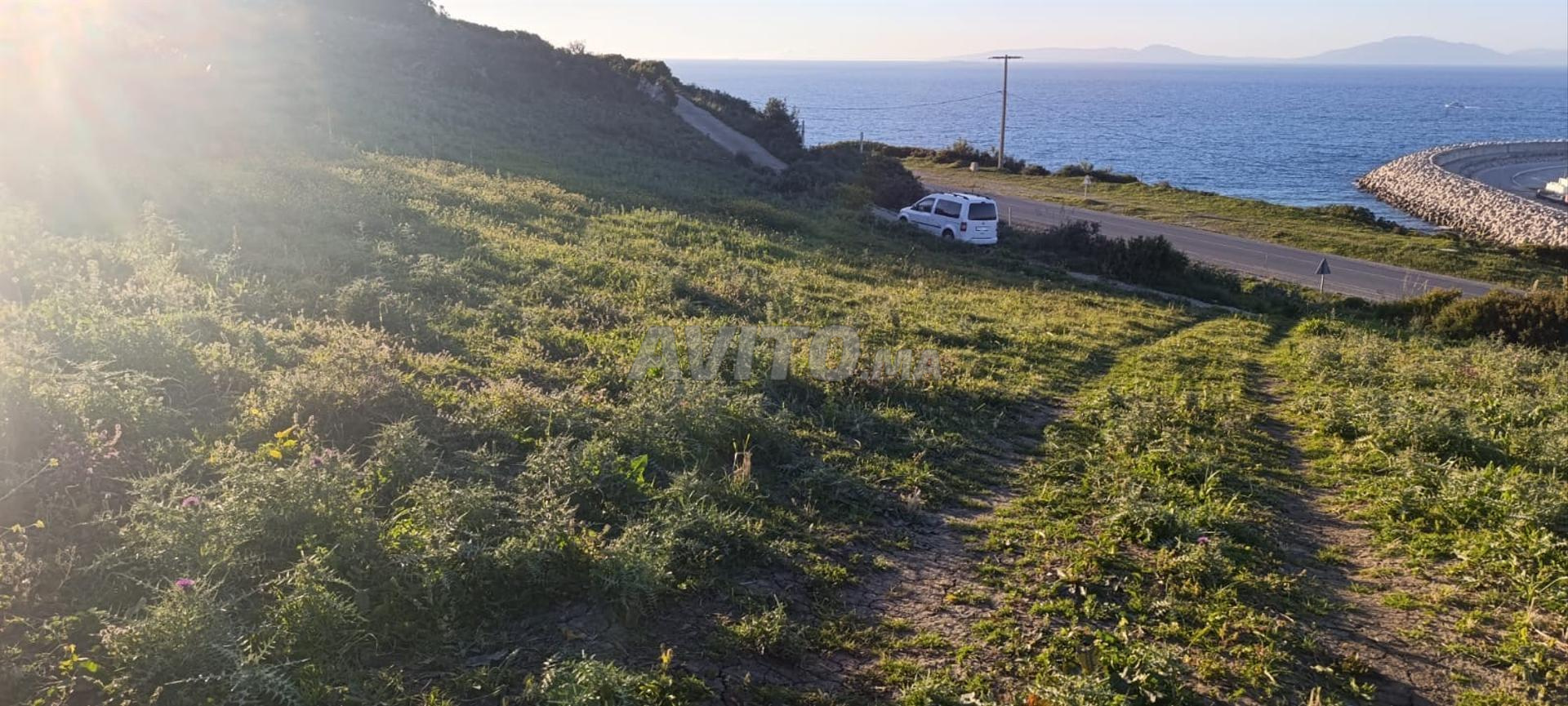 6000 m² Land for Sale in Ksar Sghir Zahra — Photo 13
