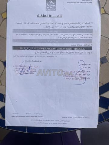 أرض للبيع في الجديدة (أواليديا) — Photo 3