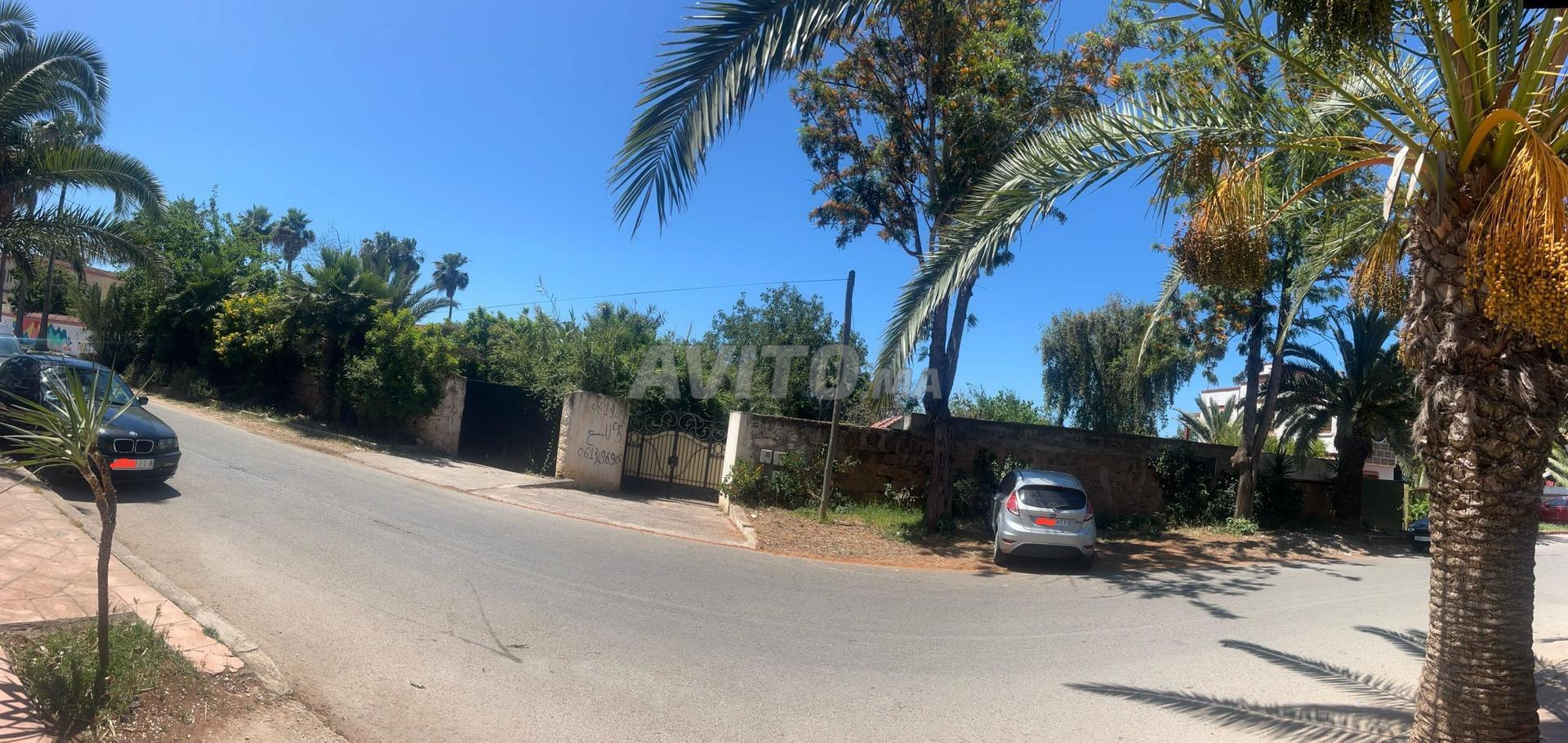 أرض 3147 م² للبيع في تمارة (الحراورا) — Photo 4