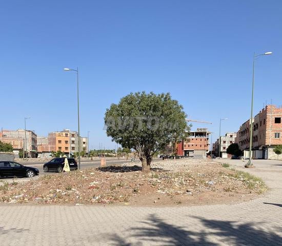 أرض مسماة للبيع في بير جديد | 5000 م² — Photo 13