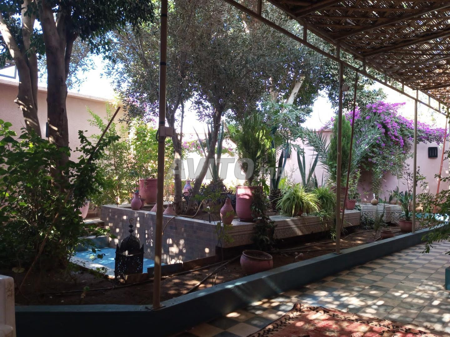 Riad for rent, 4 rooms in Agadir — Photo 4
