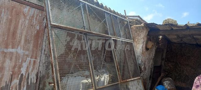 Gate for sale in Casablanca Sidi Moumen — Photo 3