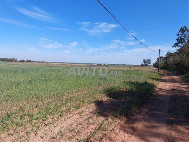 أرض مسماة للبيع في بير جديد — Photo 3