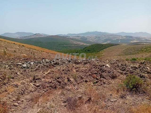 أرض مسماة للبيع في بير جديد — Photo 4