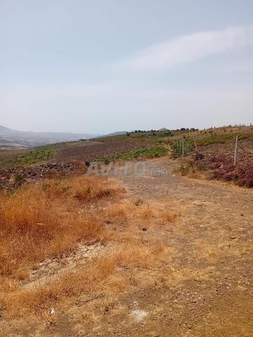 أرض مسماة للبيع في بير جديد — Photo 7