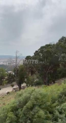 Villa 700 m² for sale in Tangier Jbel Kebir — Photo 2