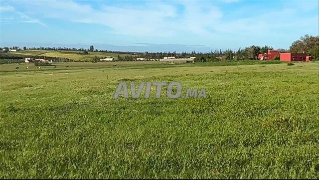 Land 5000 m² for Sale — Photo 3