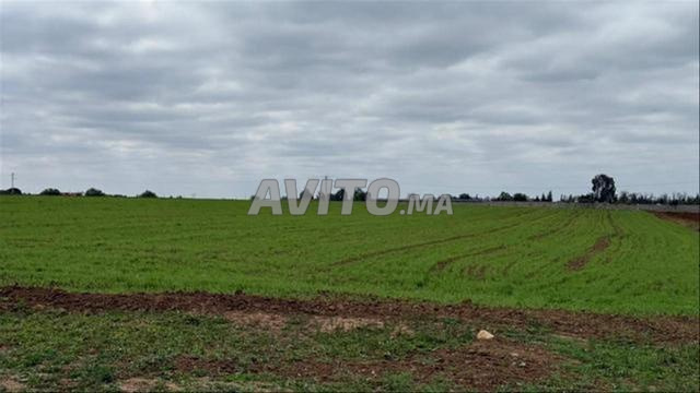 Land 5000 m² for Sale — Photo 5