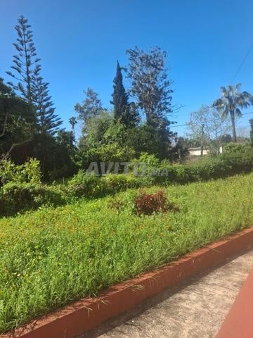 Land 5000 m² for Sale — Photo 8