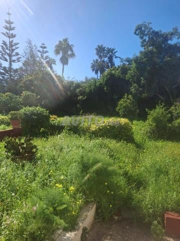 Land 5000 m² for Sale — Photo 9