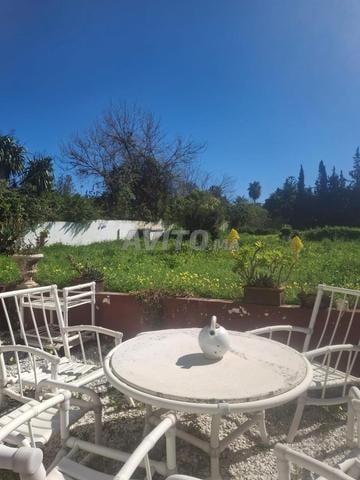 Land 5000 m² for Sale — Photo 10