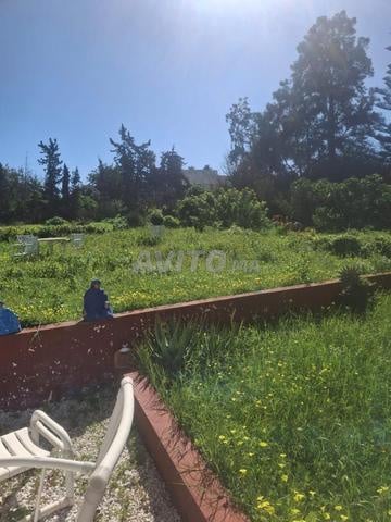 Land 5000 m² for Sale — Photo 11