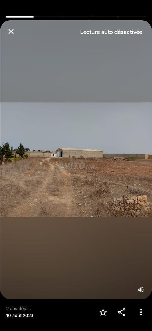 Professional Warehouse 685 m² for Rent near Azemmour — Photo 4