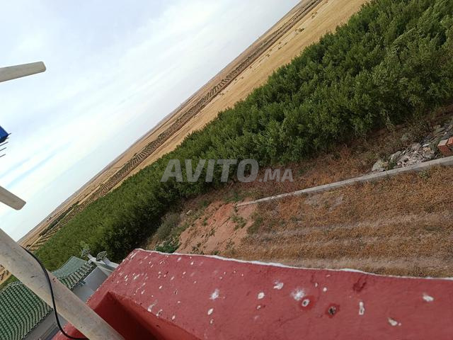 Ferme d'oliviers 11150 m² à vendre à Marrakech — Photo 2