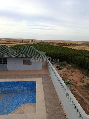 Ferme d'oliviers 11150 m² à vendre à Marrakech — Photo 4